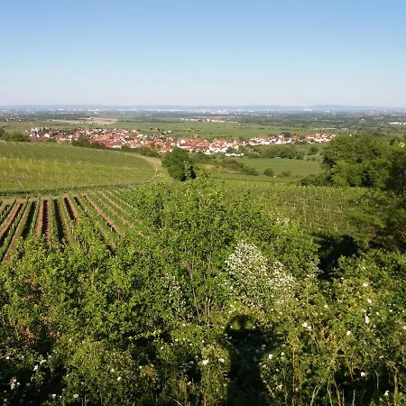 Lingenfelder Apartment Bad Duerkheim