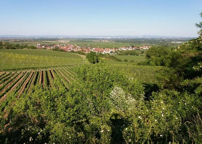 Lingenfelder Apartment Bad Duerkheim